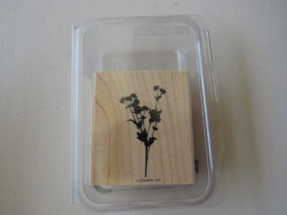 Flowers in Silhouette
